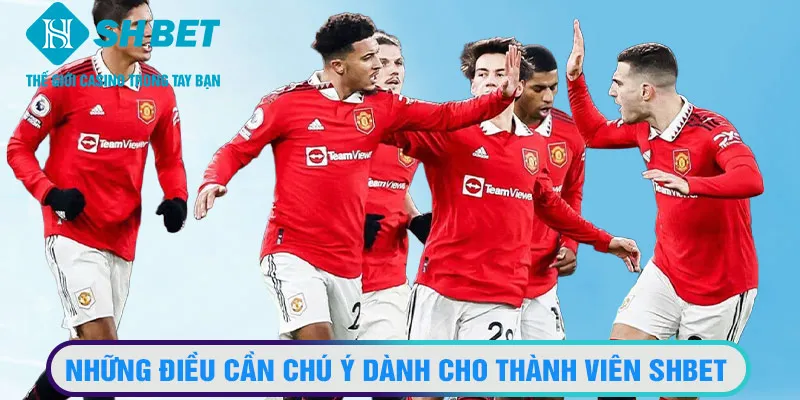 Mẹo cá cược bóng đá Ngoại hạng Anh thành công được sân chơi giới thiệu